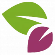 Le Front Médiatique